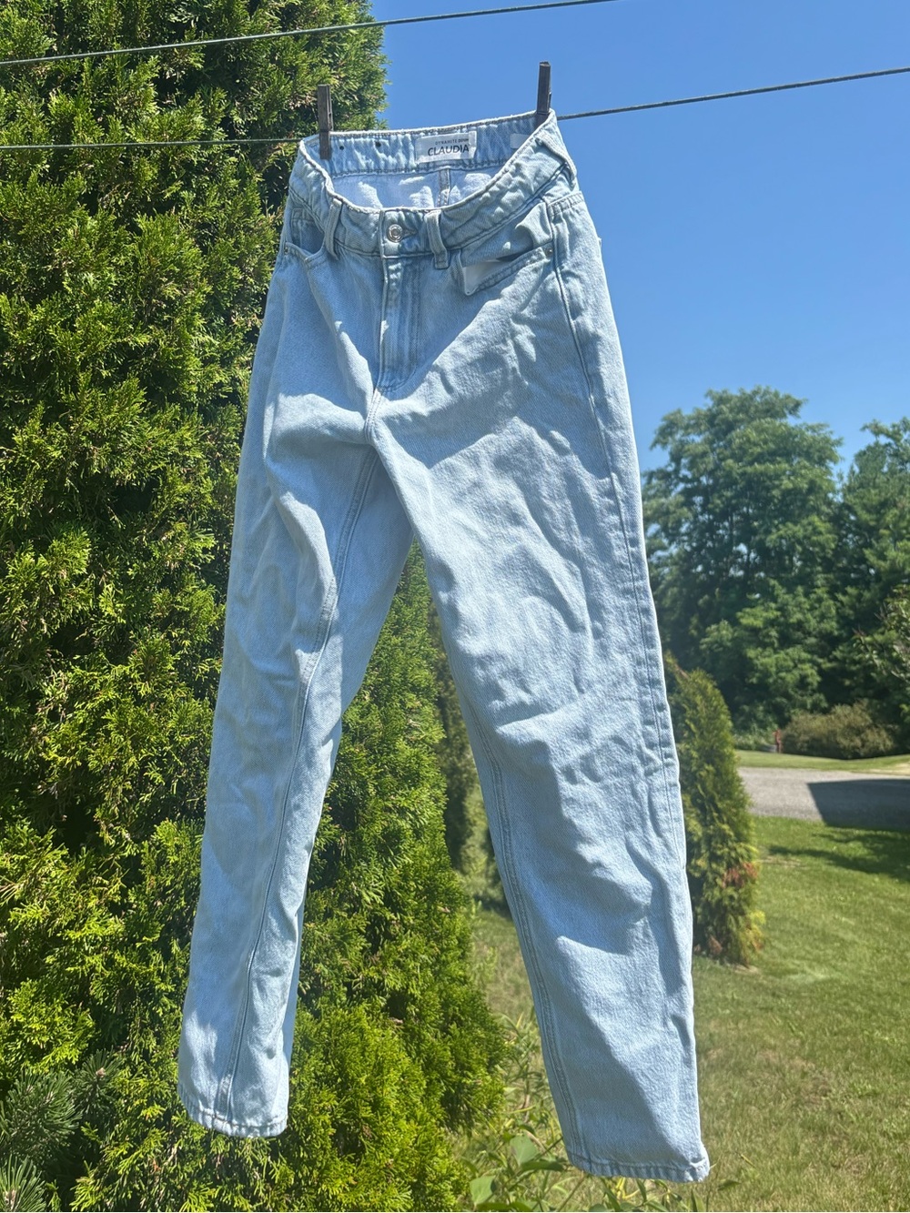 Dynamite- Claudia Light Wash High Rise Jeans